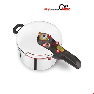  زودپز 4 لیتر + 6 لیتری تفال مدل tefal p2544342 4+6l