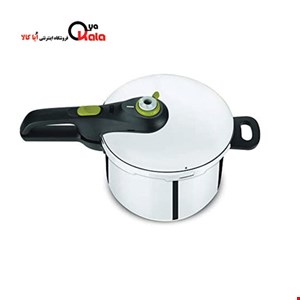  زودپز 4 لیتر + 6 لیتری تفال مدل tefal p2544342 4+6l