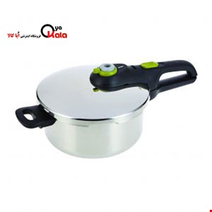  زودپز 4 لیتر + 6 لیتری تفال مدل tefal p2544342 4+6l